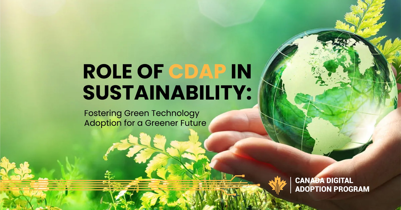 Role of CDAP in Sustainability: Fostering Green Technology Adoption for ...